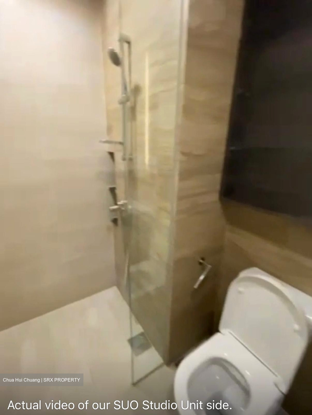 Sims Urban Oasis (D14), Condominium #497556571